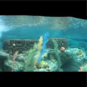 Meet your Posher, Mayra